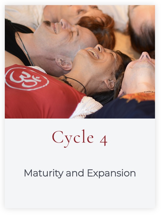LET cycle 4 - Maturity & Expansion